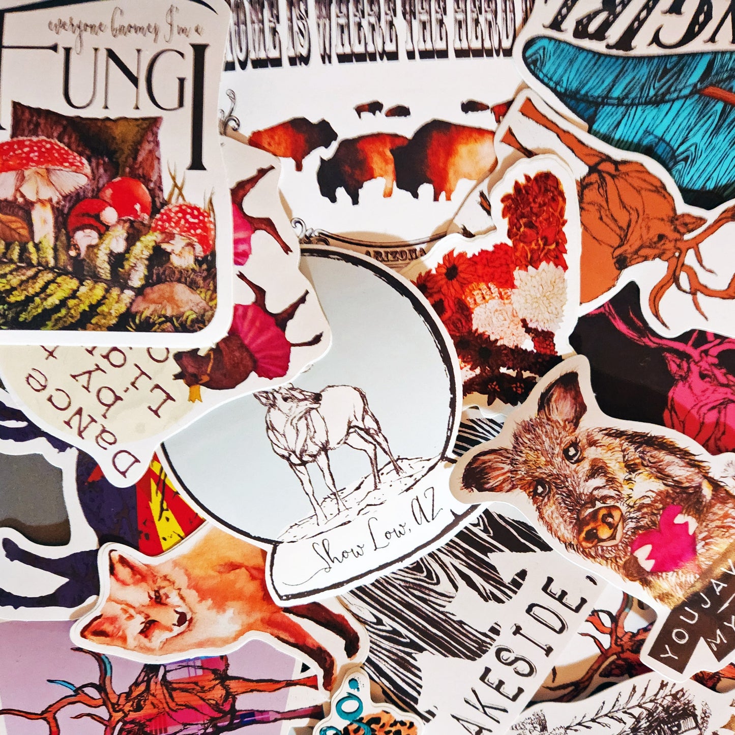 Vinyl Sticker/Decal - "Everyone Gnomes I'm a Fungi"