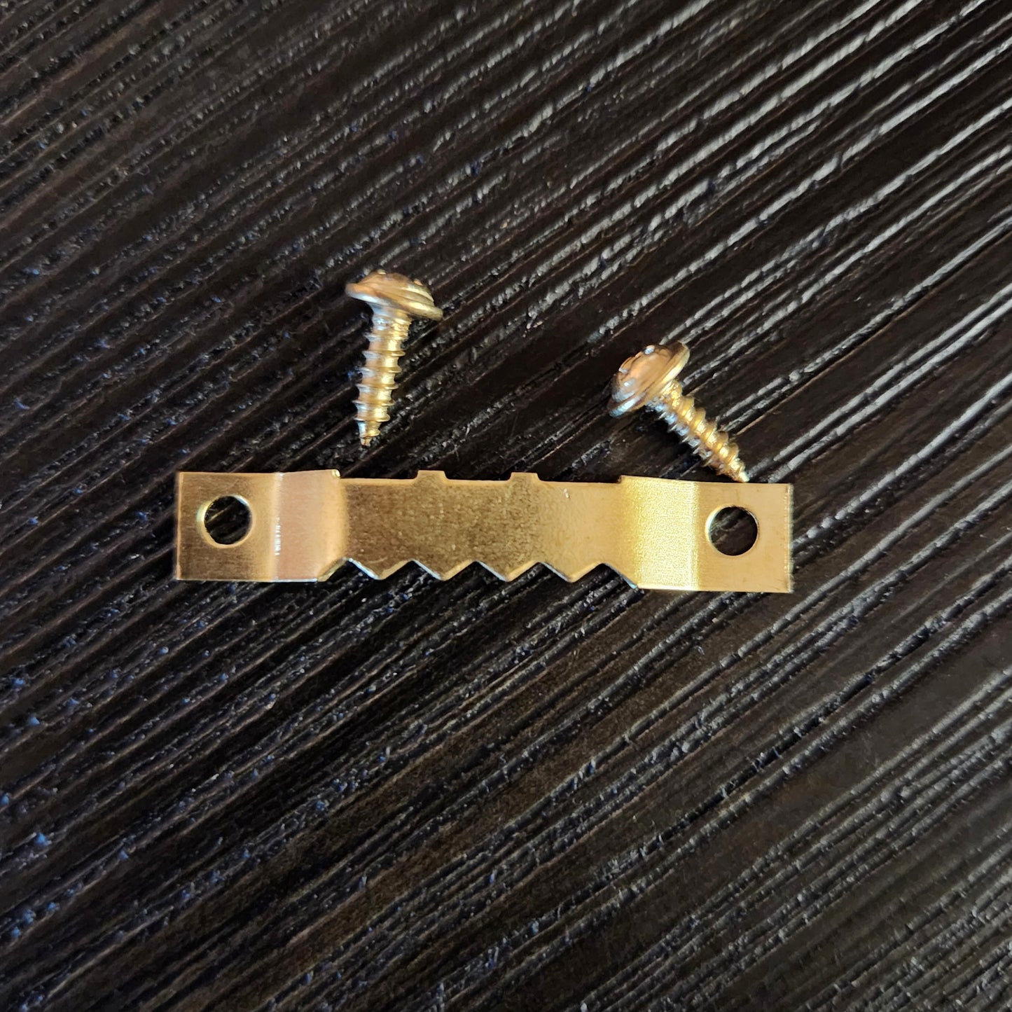 Canvas Print - "Central Bark"