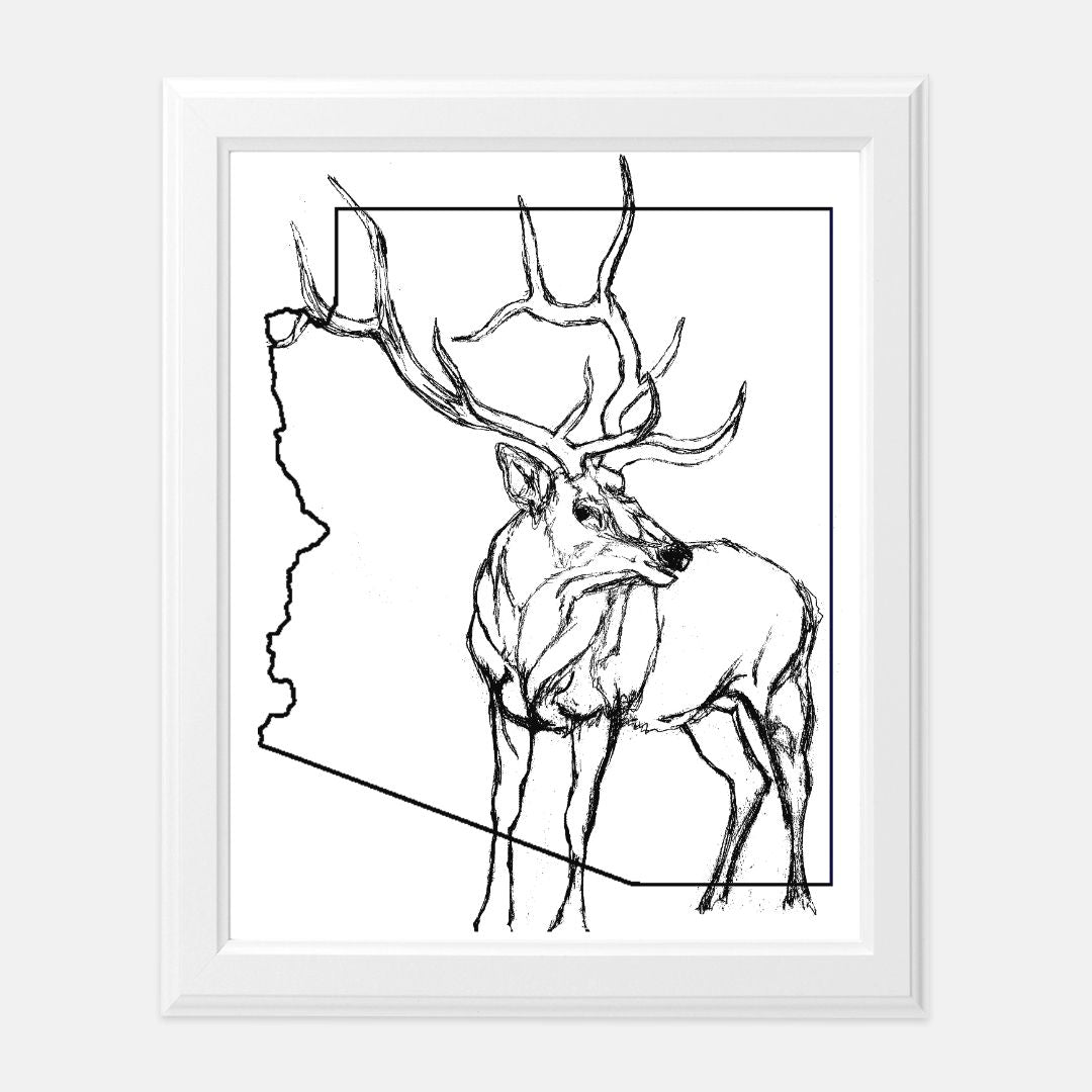 Print (8" x10") - "Arizona Elk"