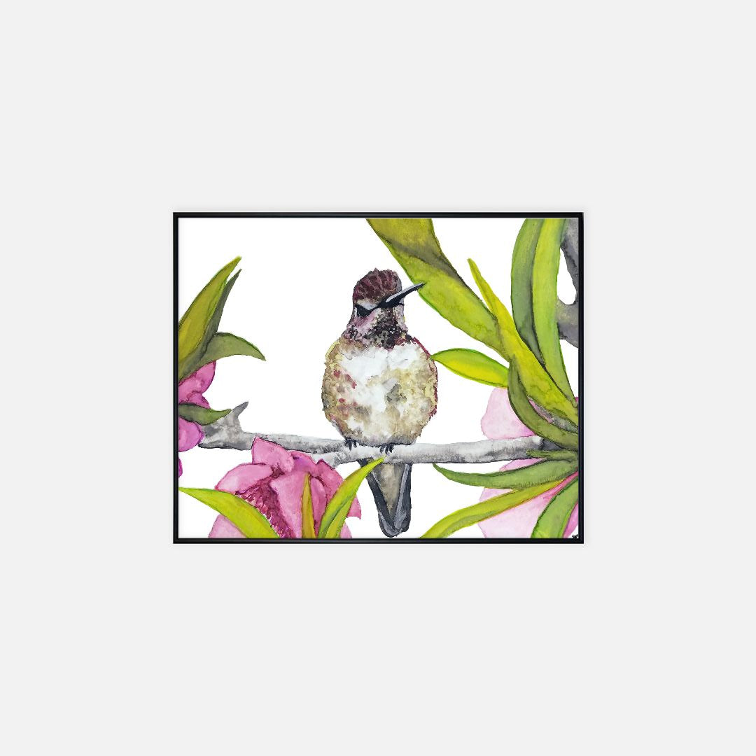 Print (16" x 20") - "Ruby, the Hummingbird"