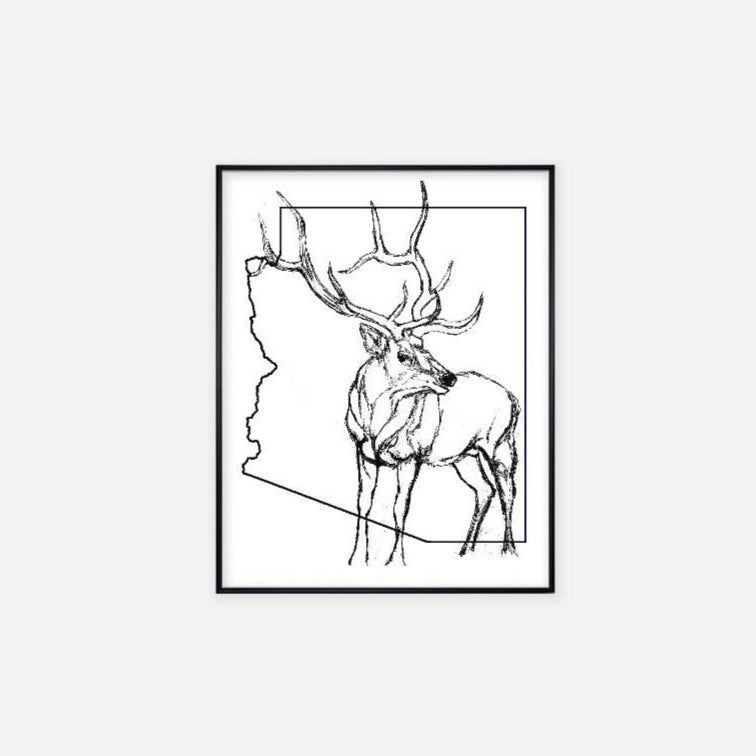 Print (11" x 14") - "Arizona Elk"