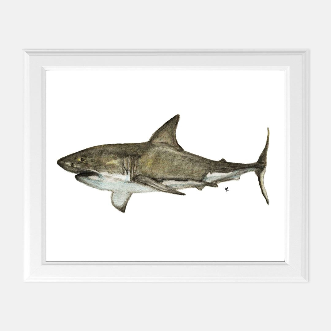 Print (8" x10") - "Great White Shark"