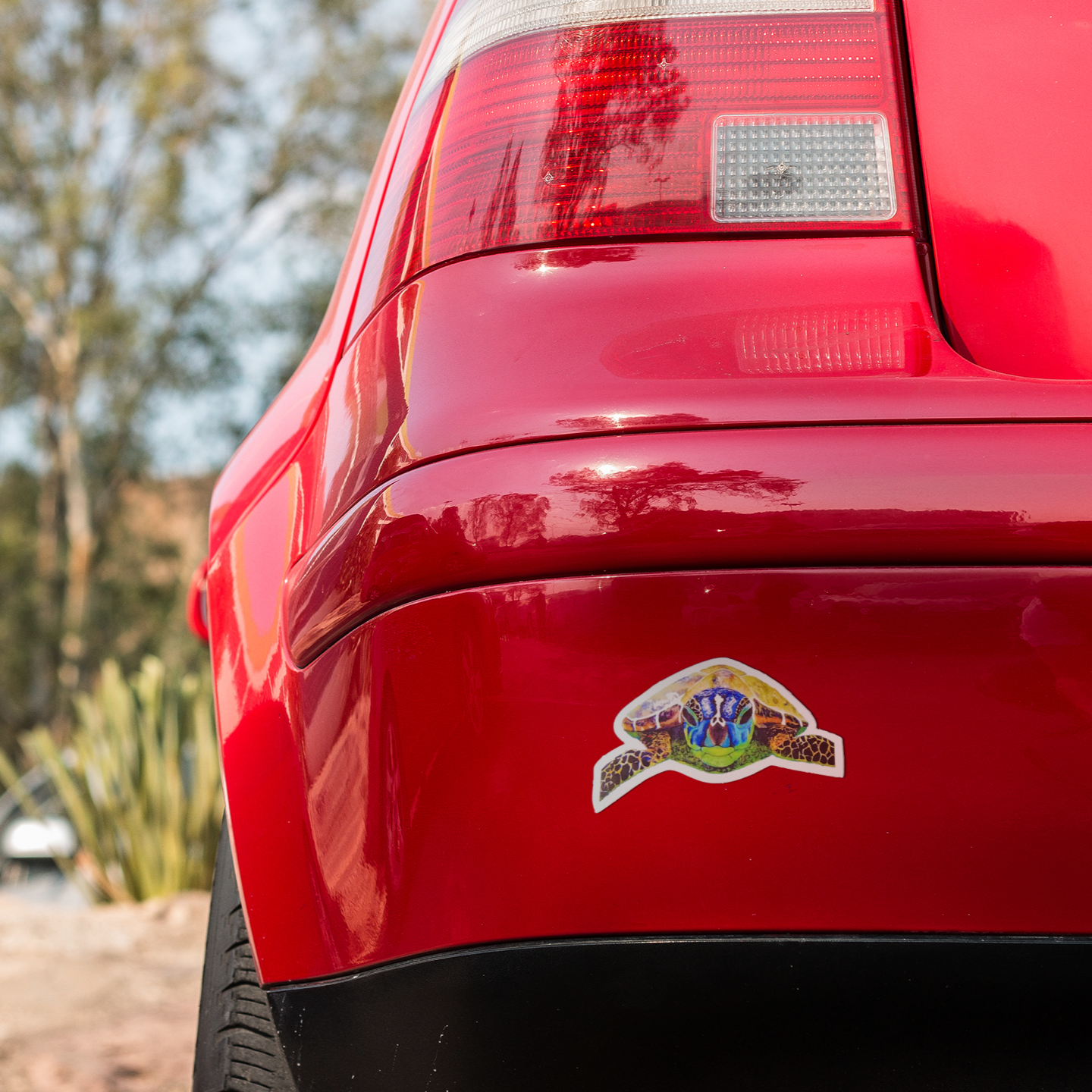 Vinyl Sticker/Decal - "Nosey Sea Turtle"