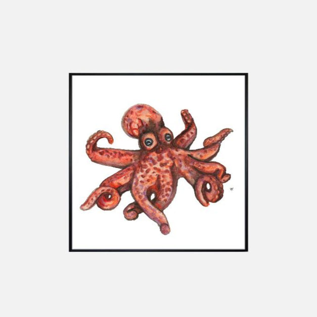 Print (12" x 12") - "O is for Octopus"