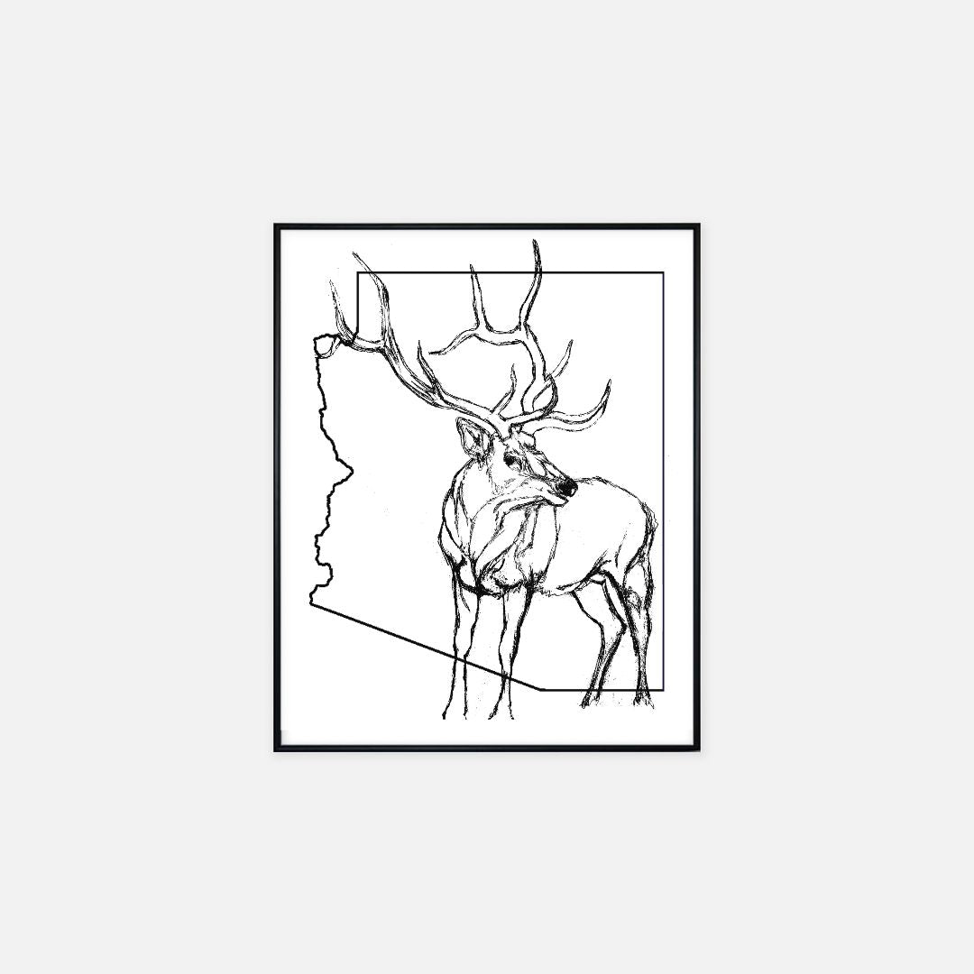 Print (16" x 20") - "Arizona Elk"