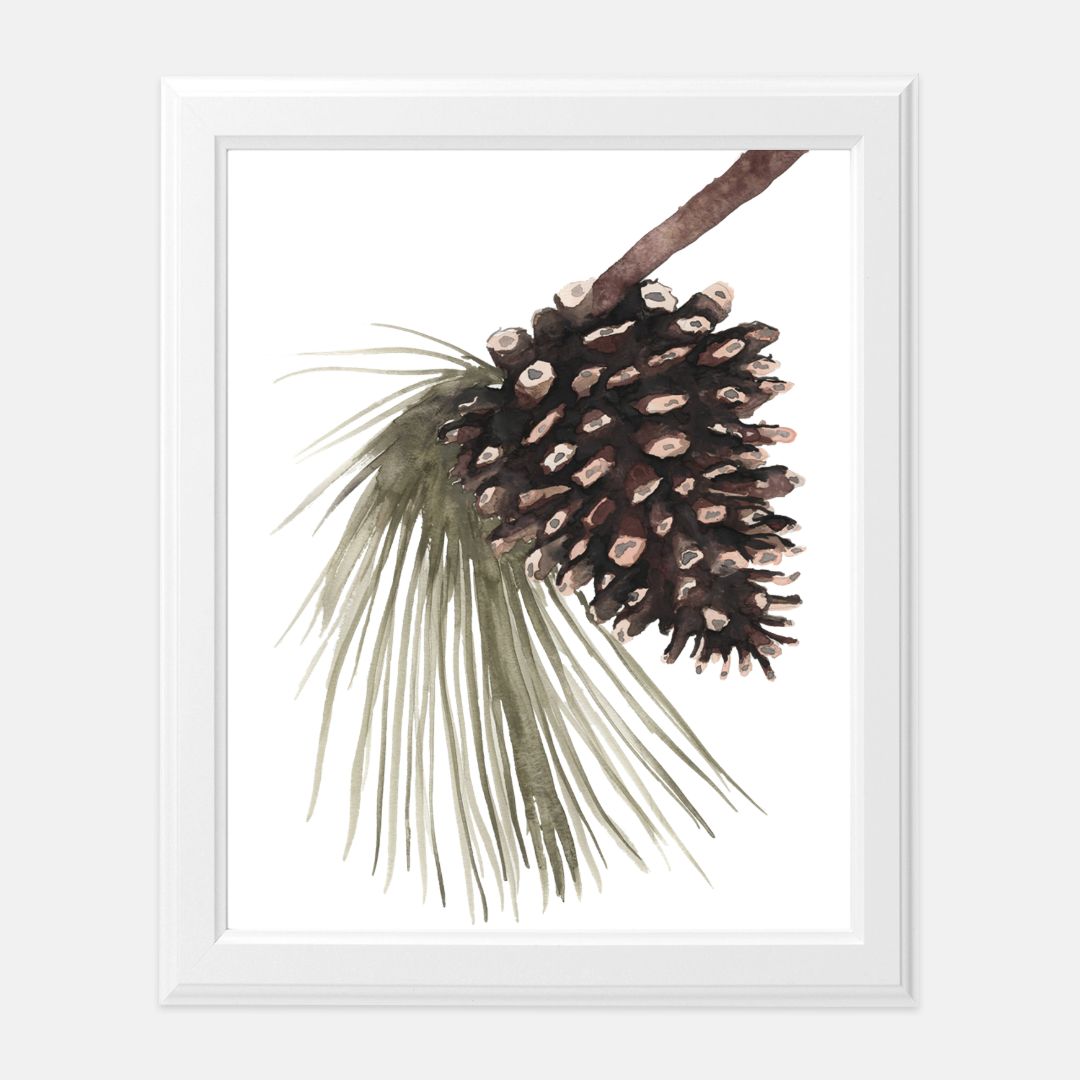 Print (8" x10") - "Pinecone"