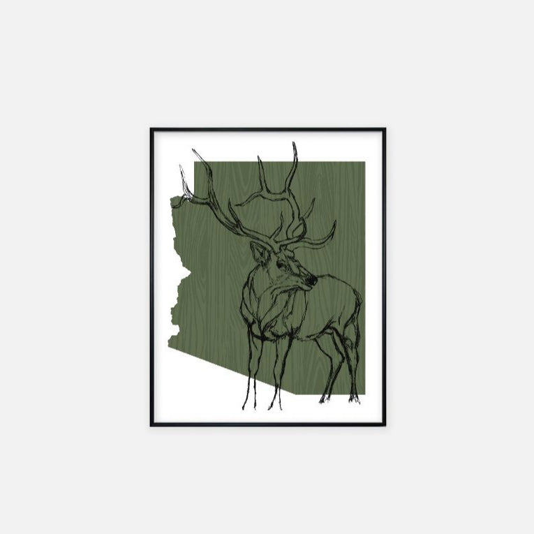 Print (11" x 14") - "Arizona Elk" (Green)