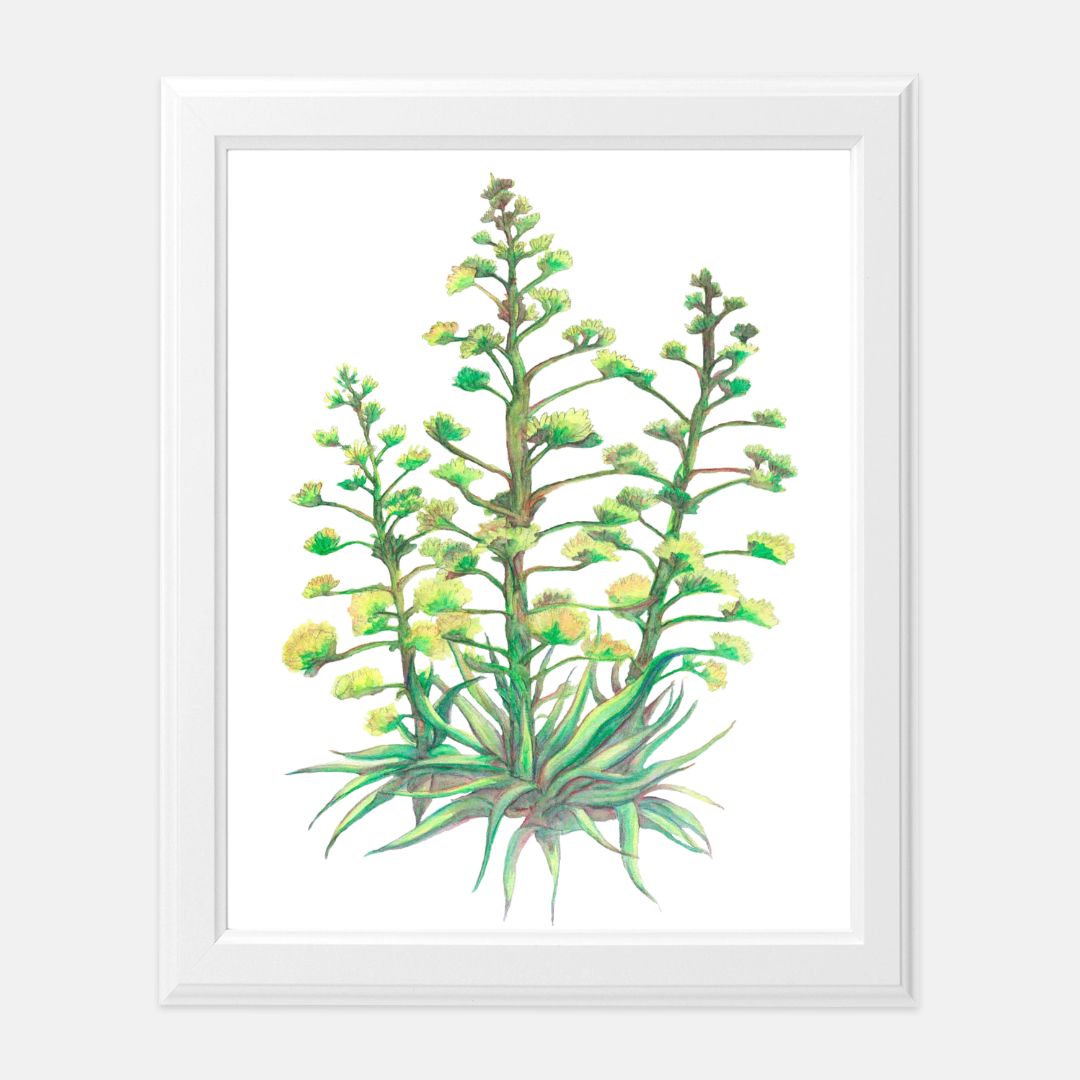 Print (8" x10") - "Arizona Christmas Trees"