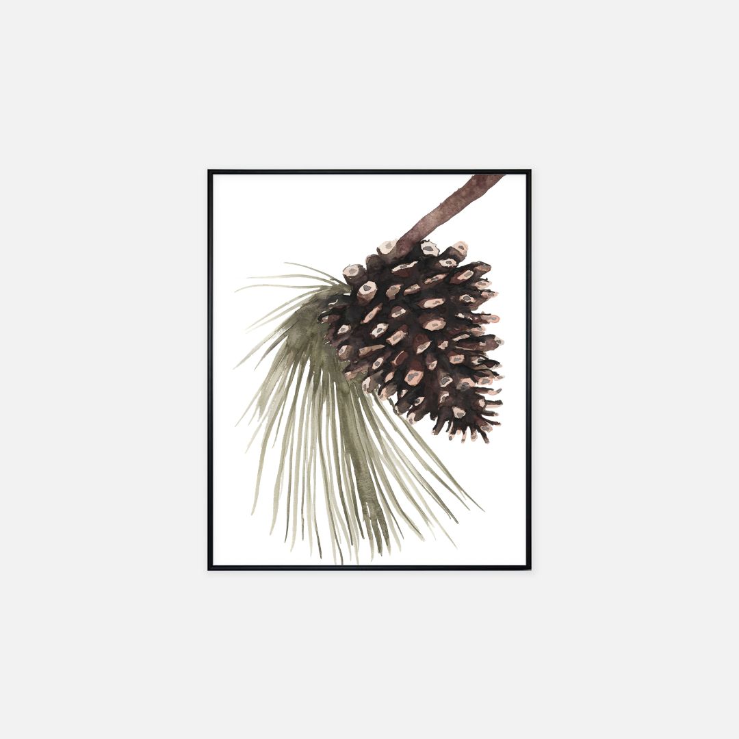Print (16" x 20") - "Pinecone"
