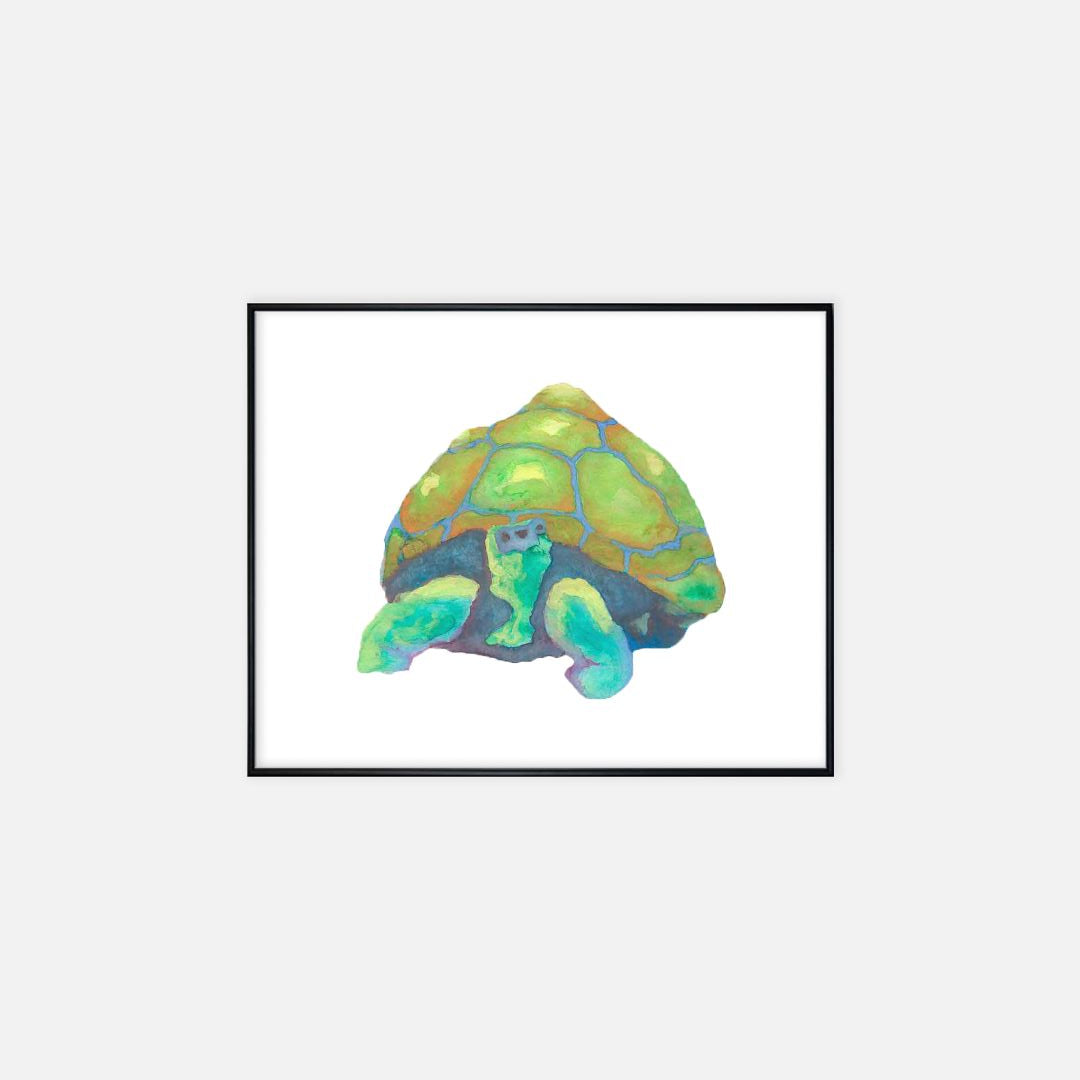 Print (16" x 20") - "Palo Verde Shade Tortoise"