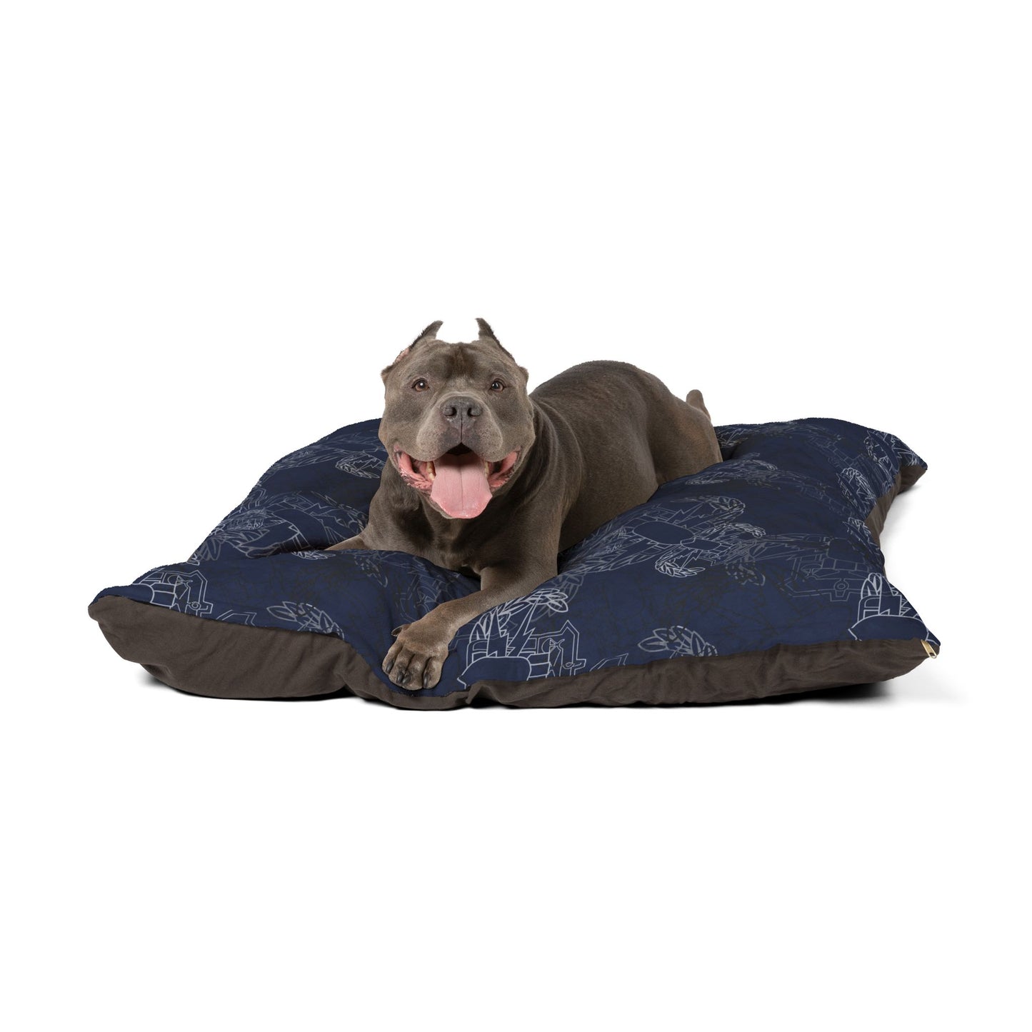 Pet Bed — "It's 5 o'clock Somewhere" PSBT (Blue on Black)