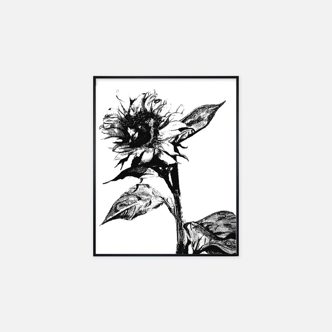 Print (16" x 20") - "Sunflower"