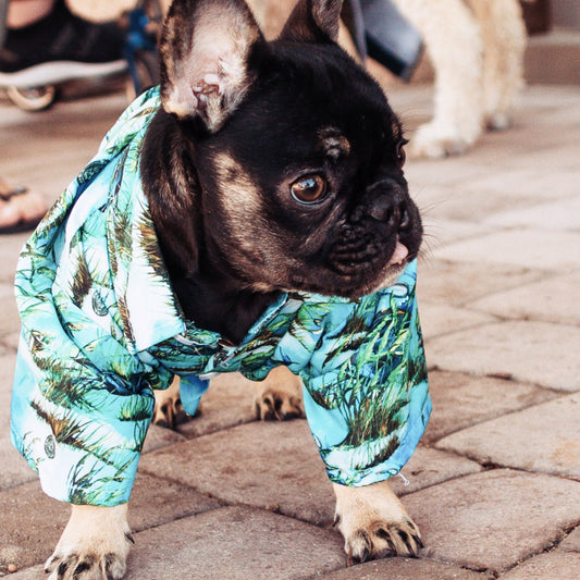 Children's "Crab Island Treasure" EOD Hawaiian Shirt