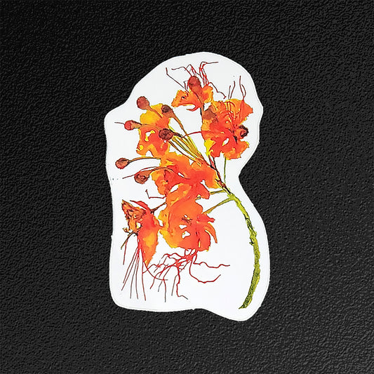 Mexican Bird of Paradise Vinyl Sticker/Decal