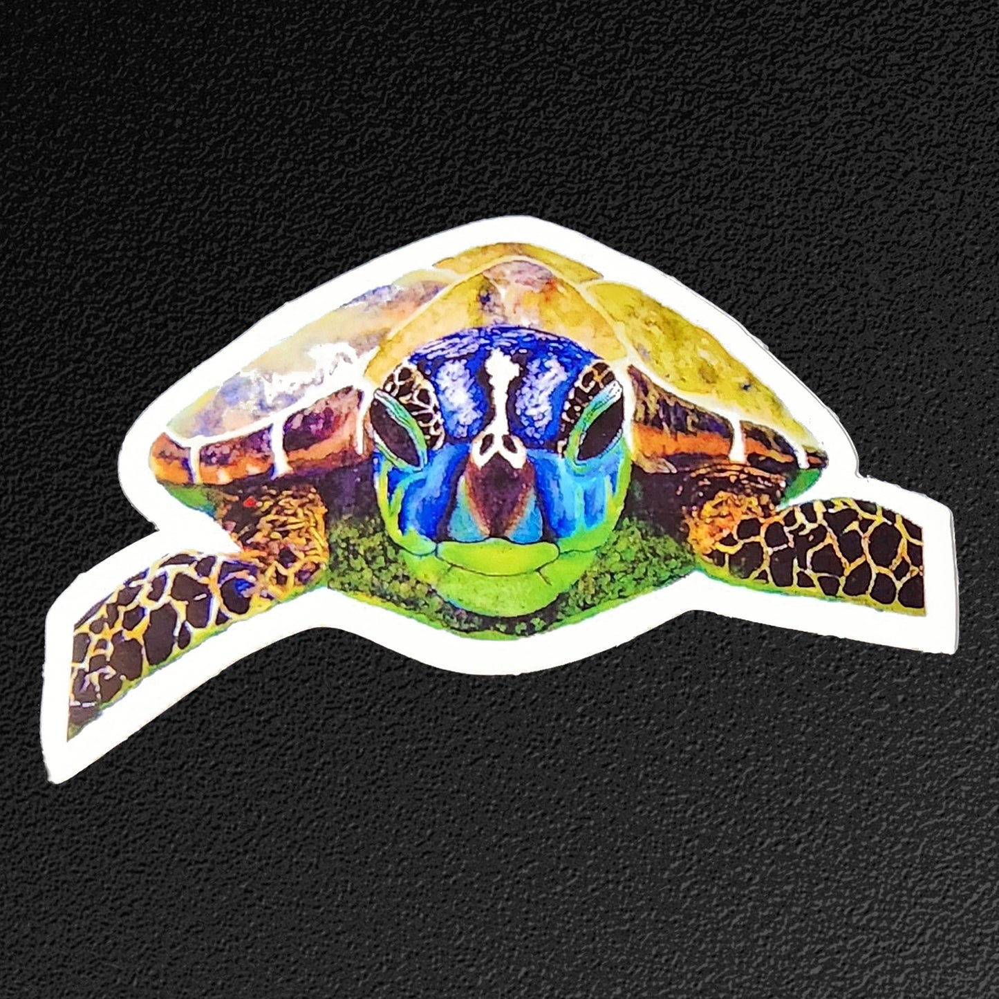 Vinyl Sticker/Decal - "Nosey Sea Turtle"