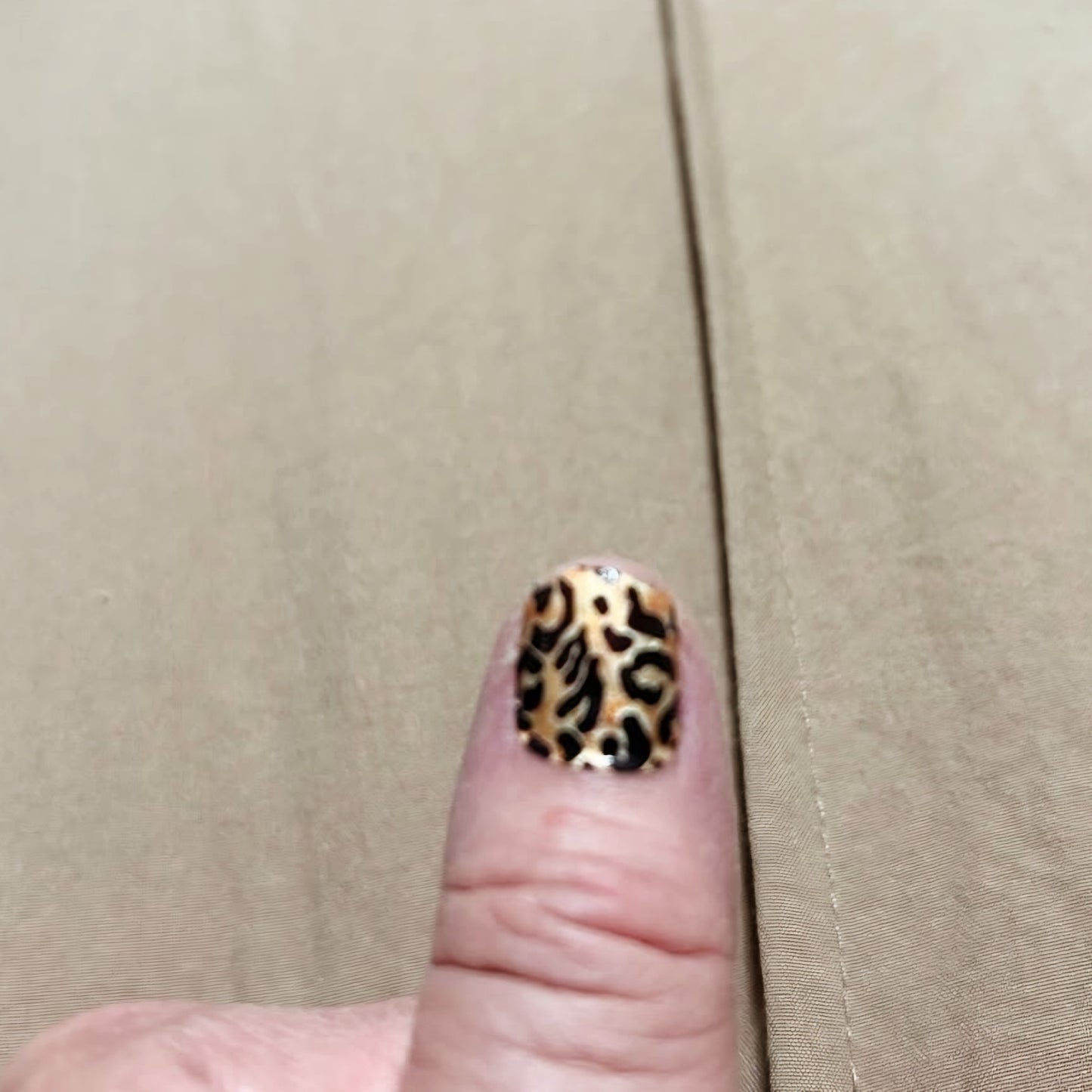Nail Art Strips - "Roam for the Holidays"