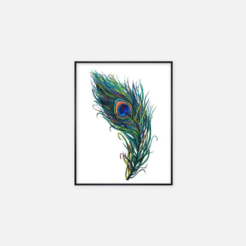 Print (11" x 14") - "Peacock Feather"