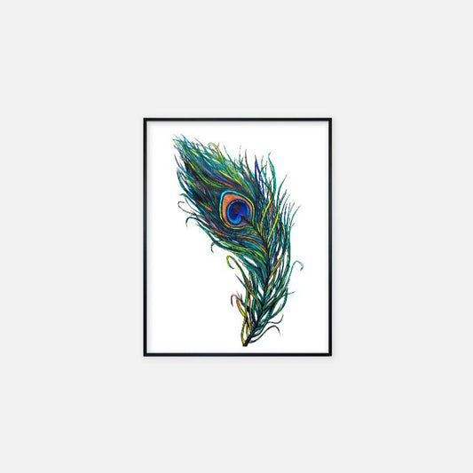 Print (11" x 14") - "Peacock Feather"