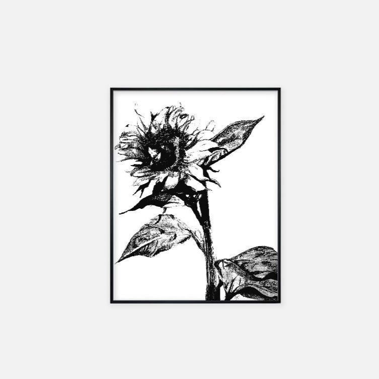 Print (11" x 14") - "Sunflower"