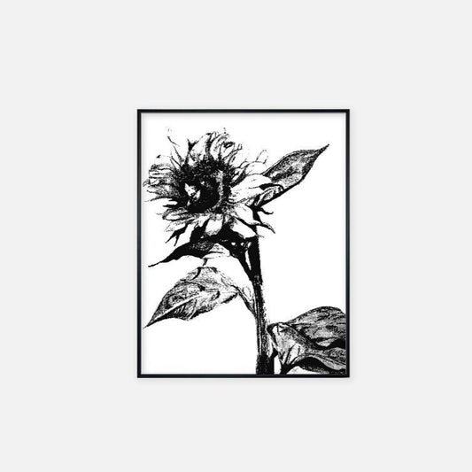Print (11" x 14") - "Sunflower"