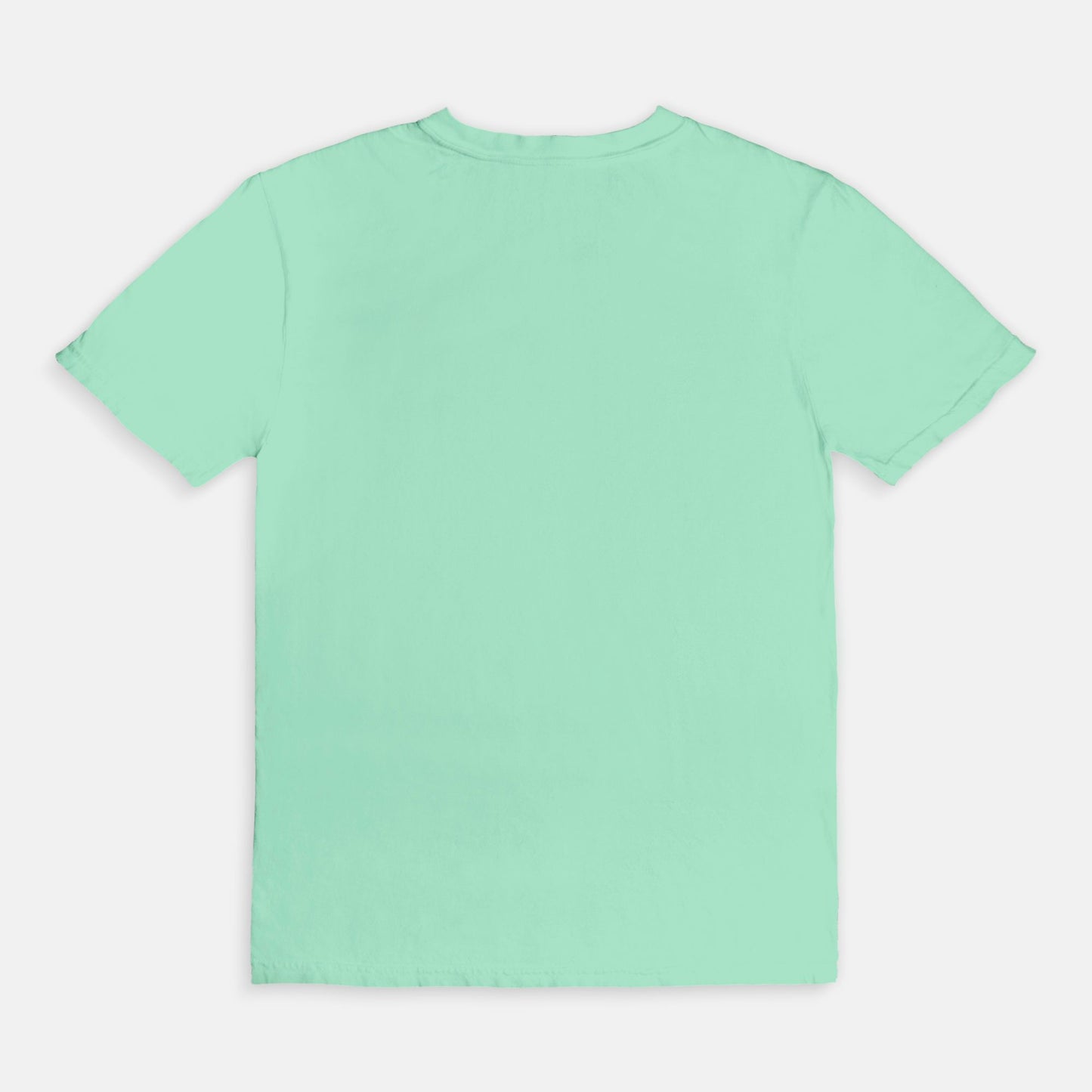 Comfort T-Shirt - "Taco Dino"