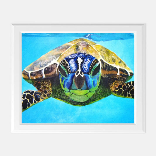 Print (8" x10") - "Nosey Sea Turtle"