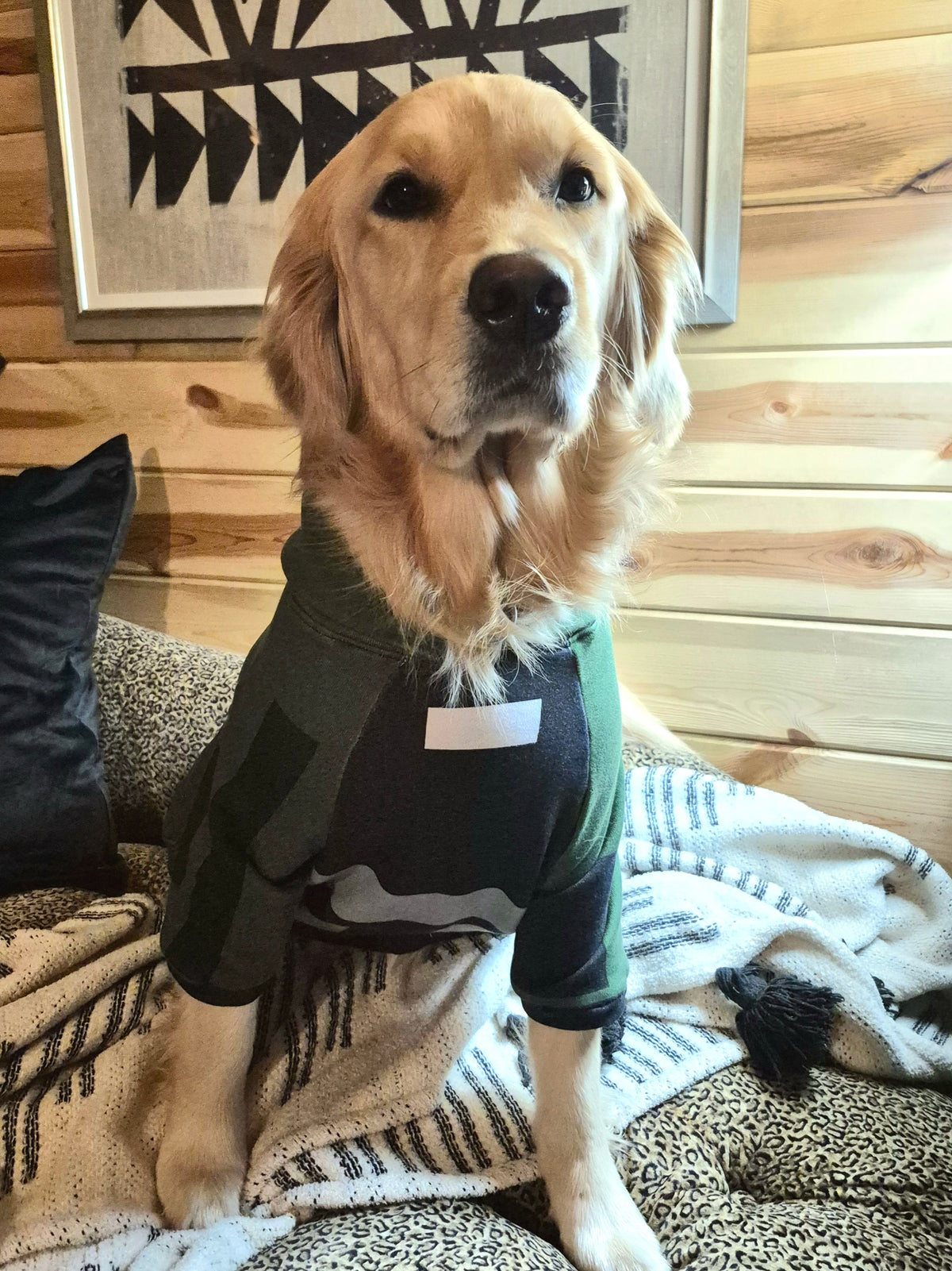 Pet Hoodie - "Bomb Suit"