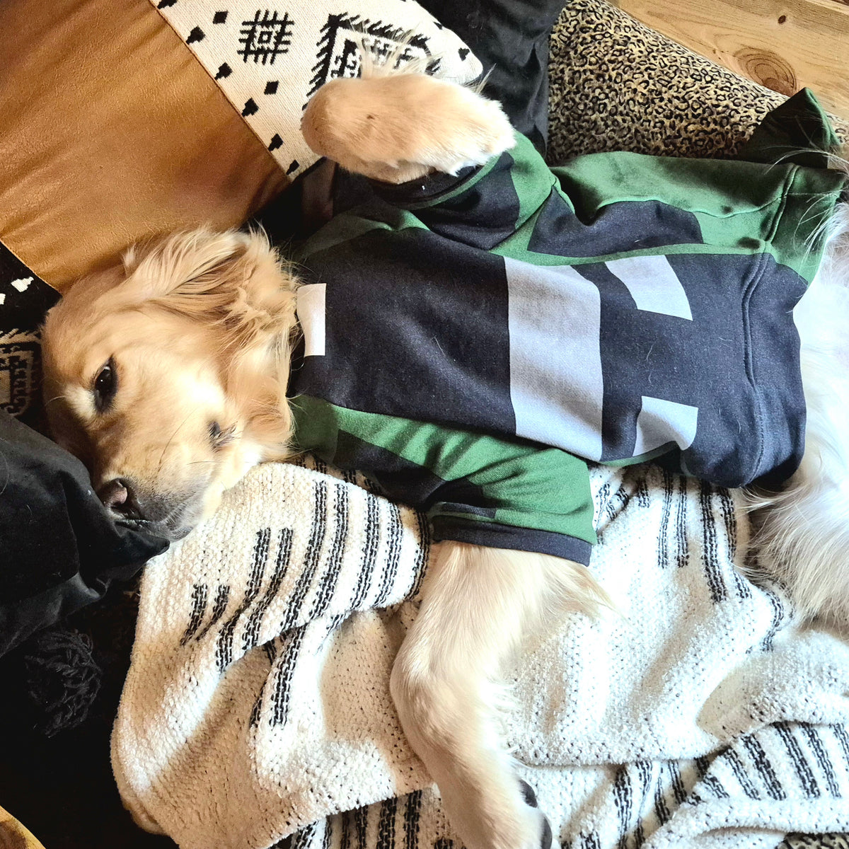 Pet Hoodie - "Bomb Suit"