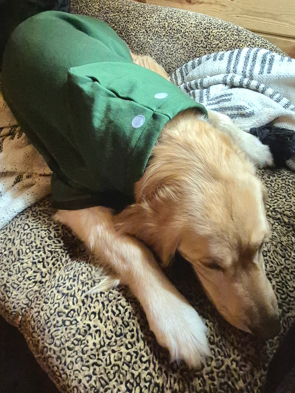 Pet Hoodie - "Bomb Suit"