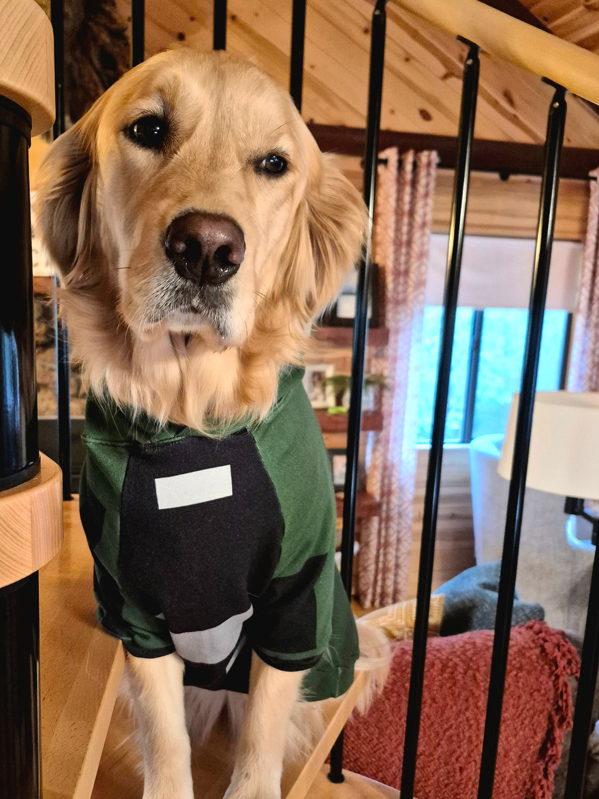 Pet Hoodie - "Bomb Suit"