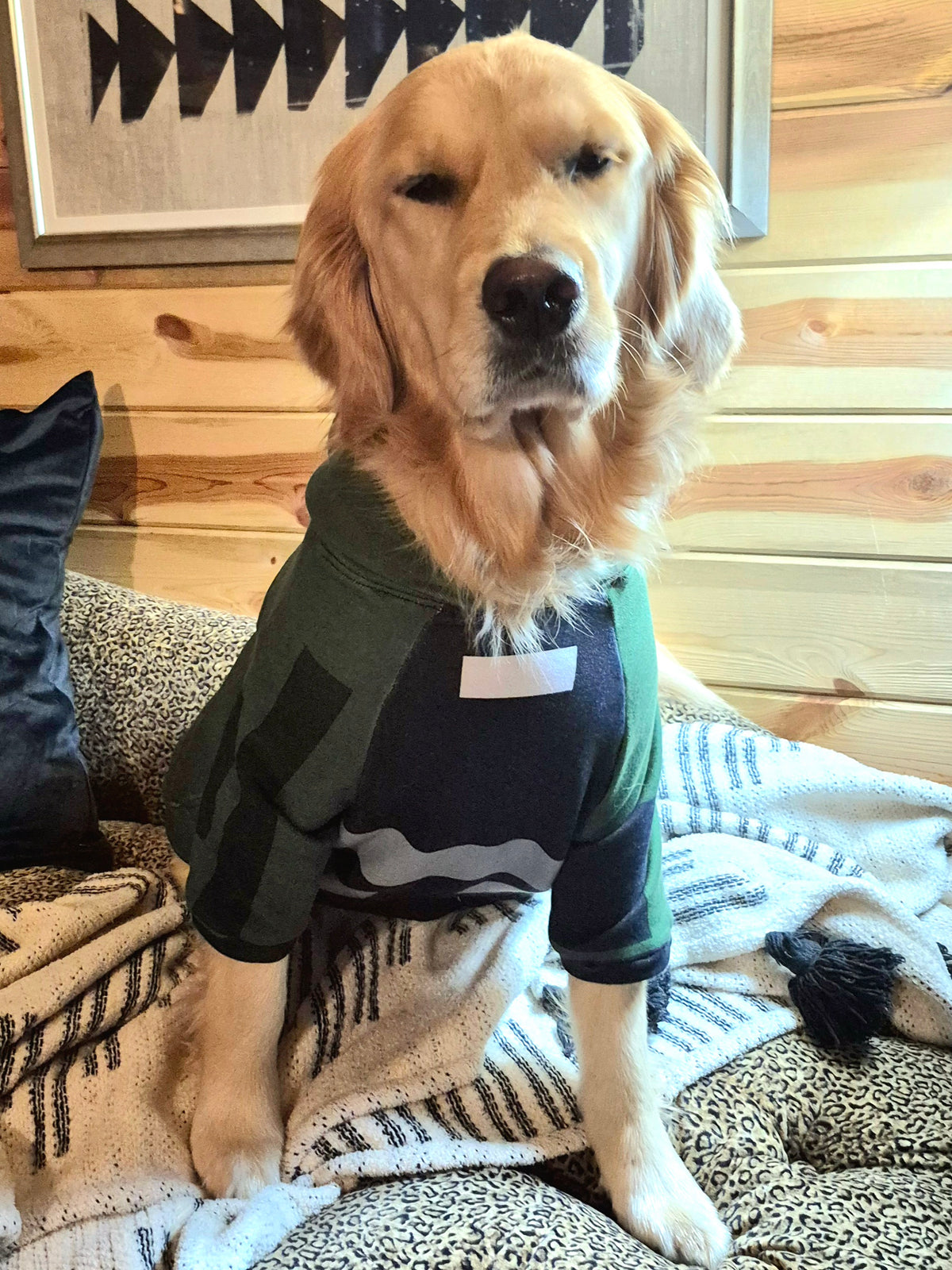 Pet Hoodie - "Bomb Suit"
