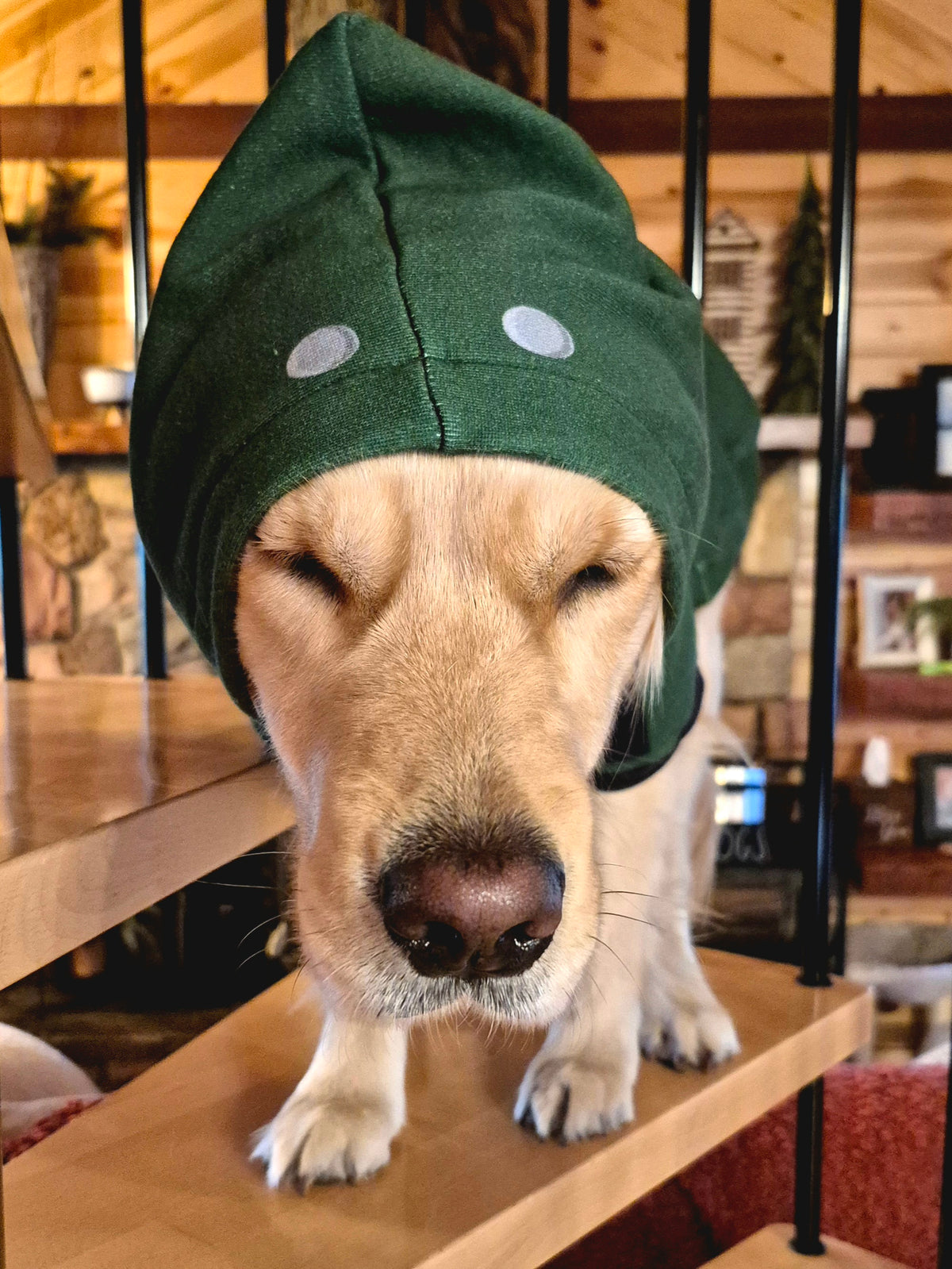 Pet Hoodie - "Bomb Suit"